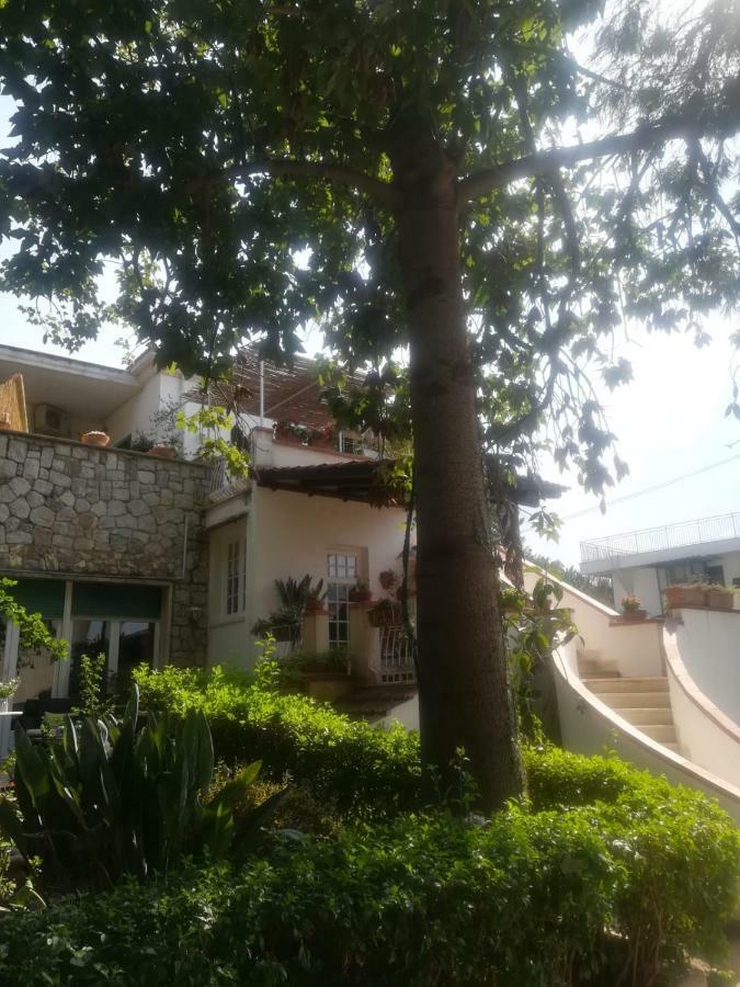 מלון פלרמו La Stanza Di Angi A Mondello מראה חיצוני תמונה